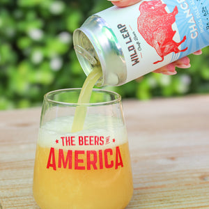 beers of america, Wild Leap, Chance India Pale Ale, 6.2% ABV. 355ml craft beer can
